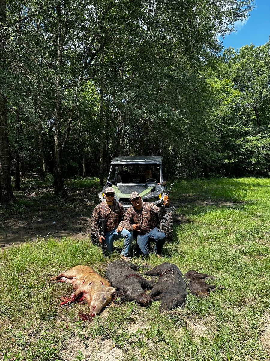 Hunting Hogs from Side by Side in Texas