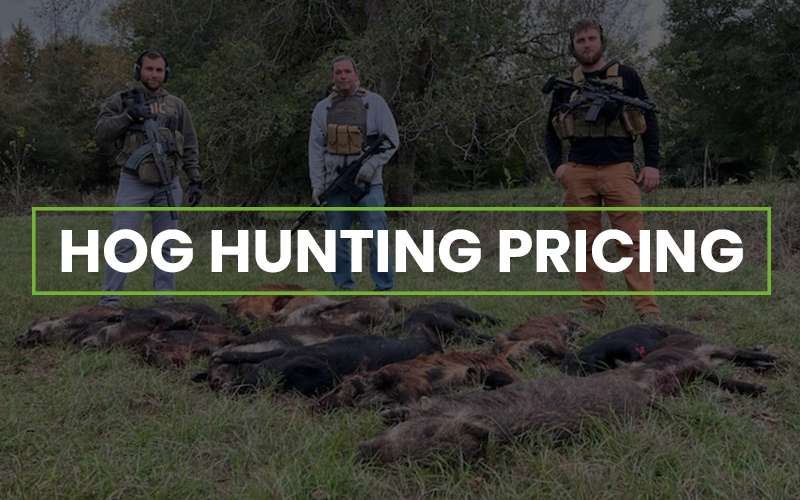 Hog Hunting Pricing with 4J Ranch