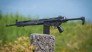 hk91.jpeg