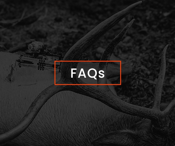 FAQs