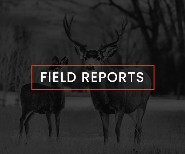Field Reports