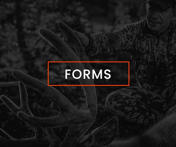 Forms