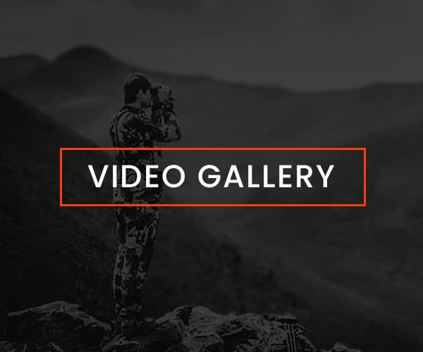 Video Gallery