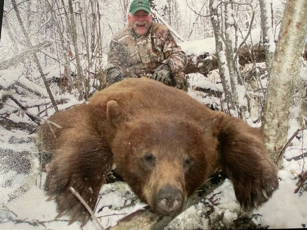 Agassiz Snowstorm Bears 