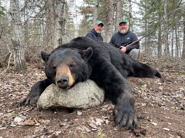 Spring Bear Hunting in full swing 