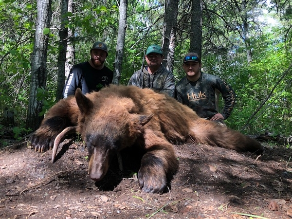 Agassiz Guest Takes Every Bear Hunters 