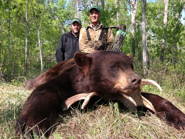 Here's Another Agassiz Outfitters Manitoba Record Book Bear