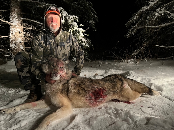 2025 Winter Wolf Season Filling Up Fast