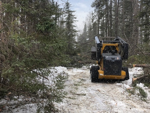 Trail Work in Progess