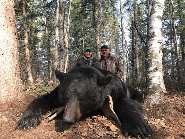 Another Record Book Black Bear