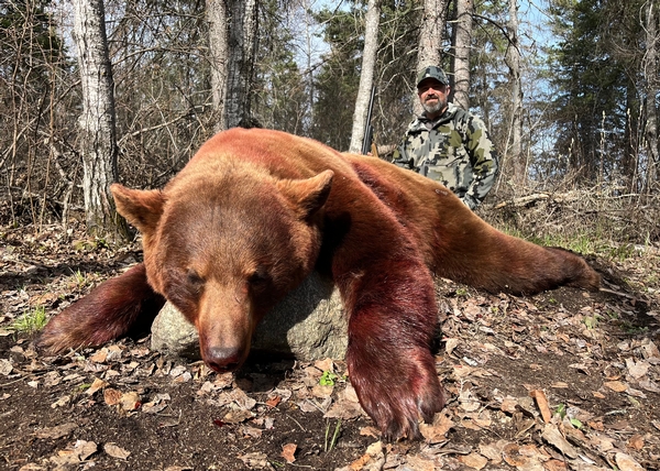 2024 Manitoba Fall Black Bear Season fast approaching!!