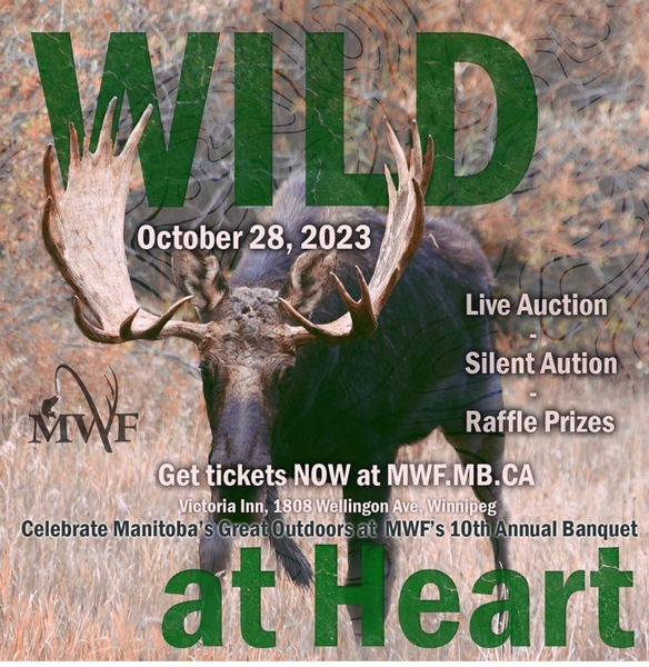 Wild at Heart Banquet 