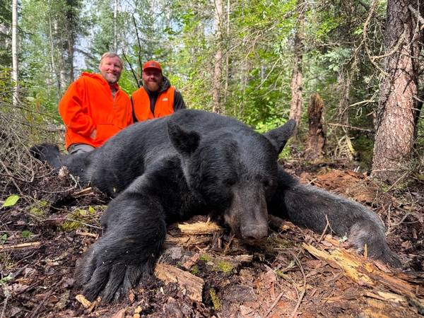 Fall Bear Season off to a Great Start