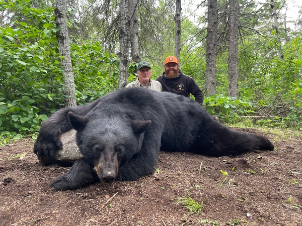 2023 Manitoba Spring Black Bear Season Comes to an End!!