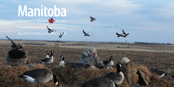 Manitoba's Waterfowl Mecca