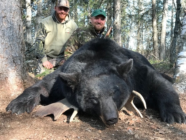 2018 Giant Spring Black Bear