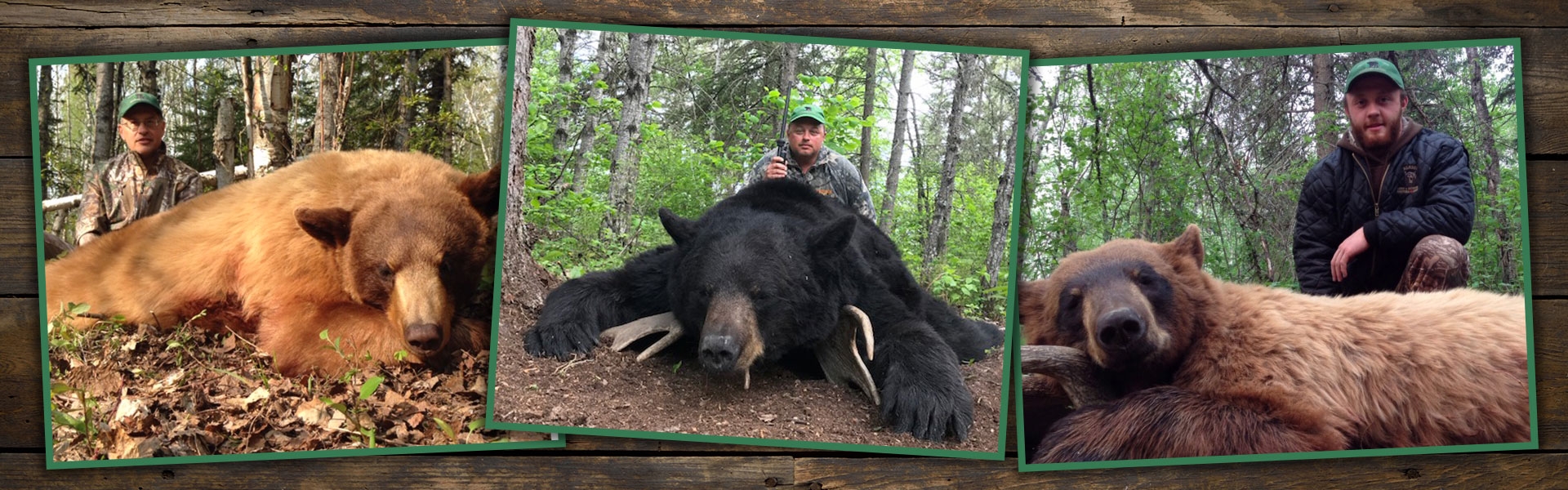 Manitoba Black Bear Hunting