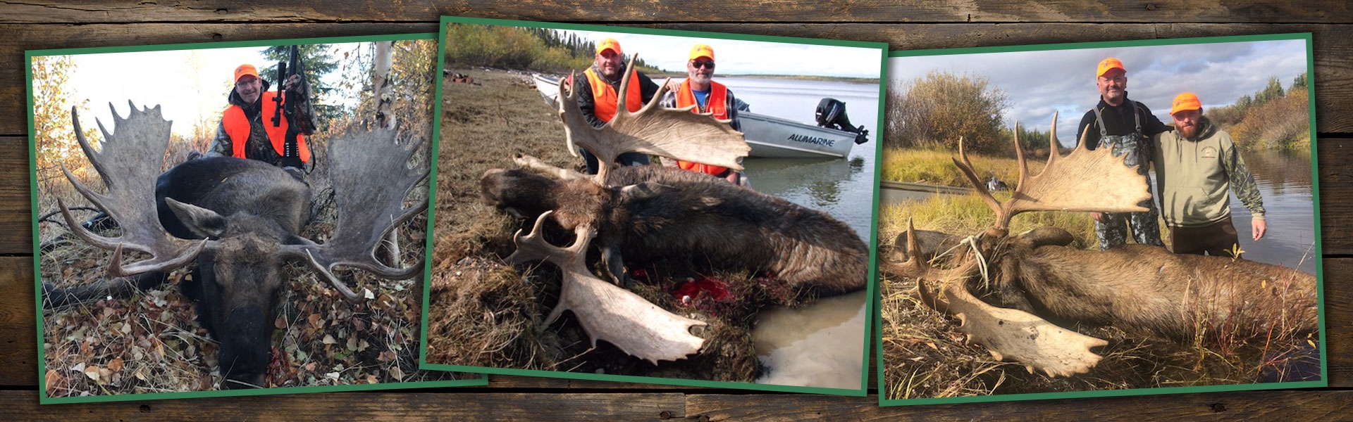 Manitoba Guided Moose Hunting