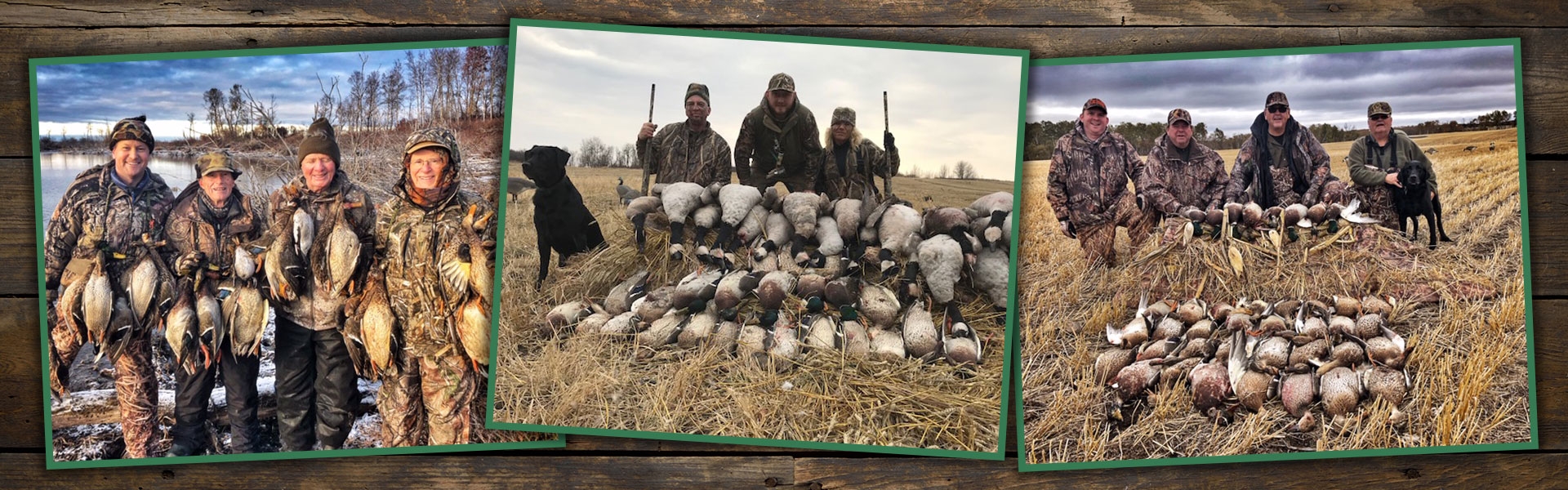 Manitoba's Top Guided Waterfowl Hunts