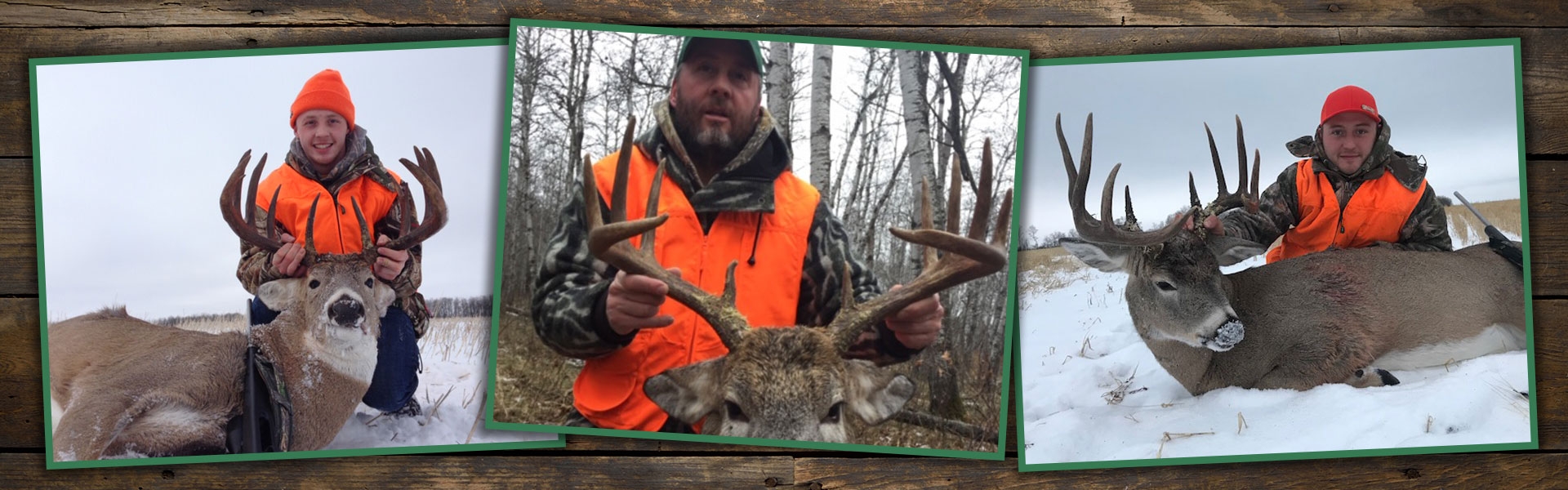 Trophy Whitetail Hunting