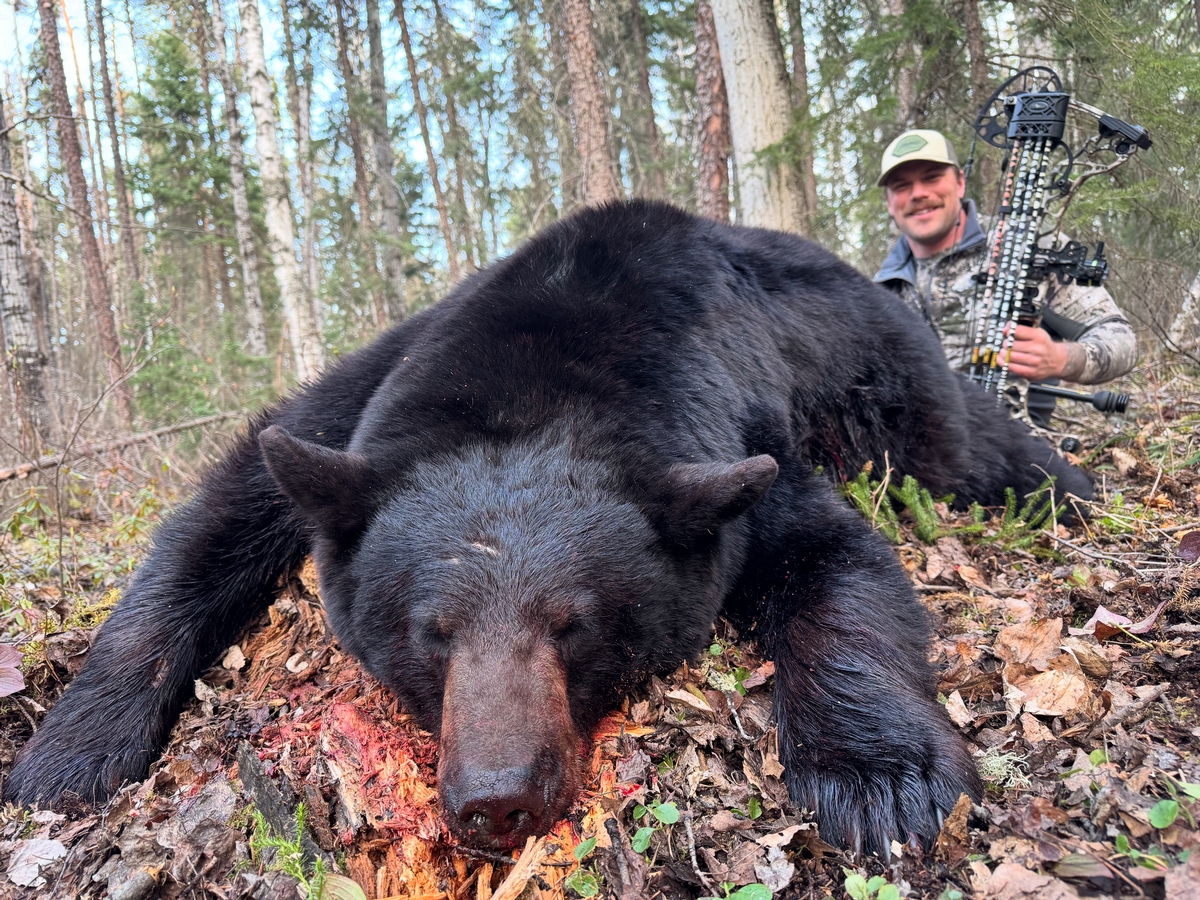 2025 Spring Black Bear Review 2025 Spring Black Bear Review