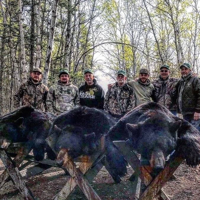 Trophy Black Bear Hunts