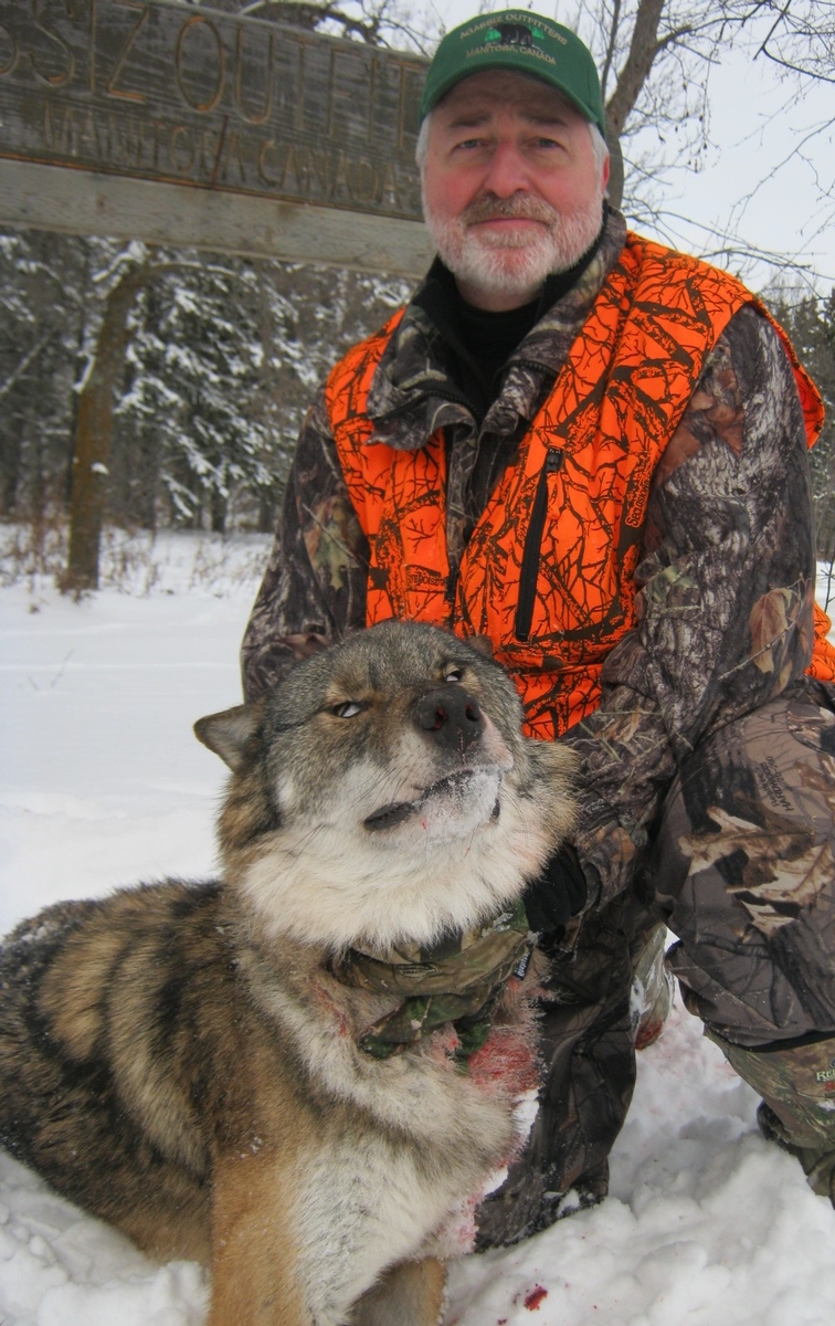 Manitoba Wolf Hunt 