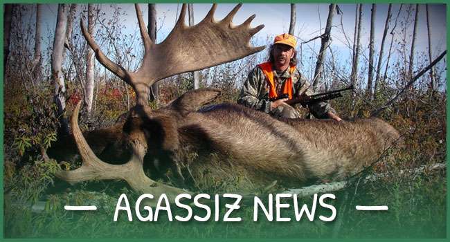 Agassiz News