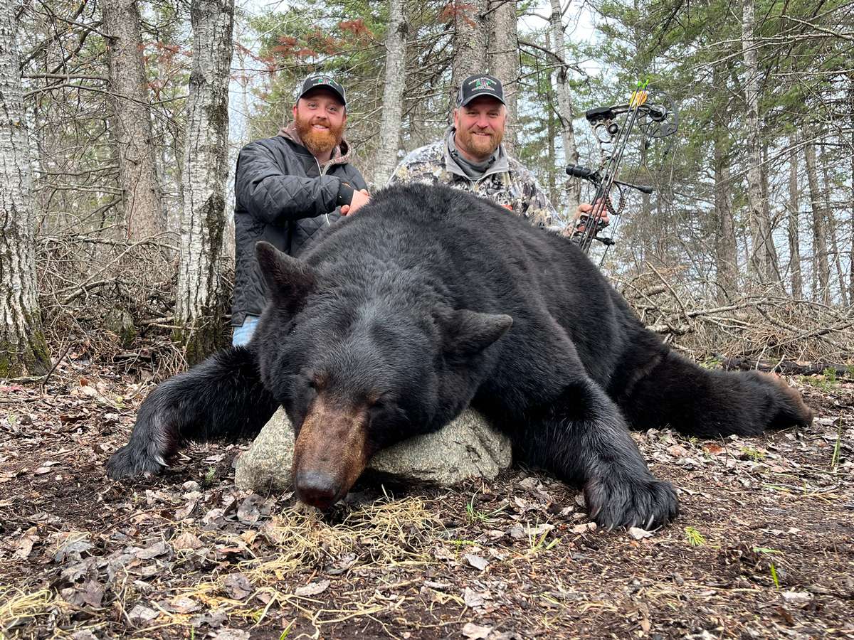 2022 Spring Black Bear Hunting Review