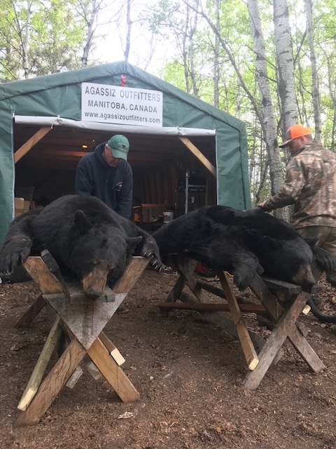 2018 Fall Black Bear Hunting Season