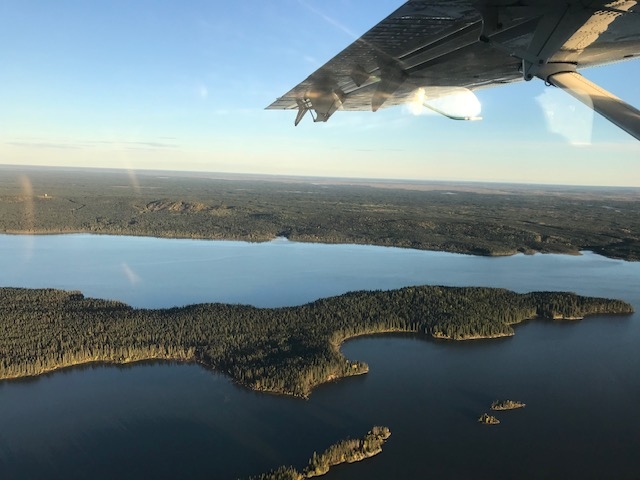 Manitoba Fly In Black Bear Hunting Dates