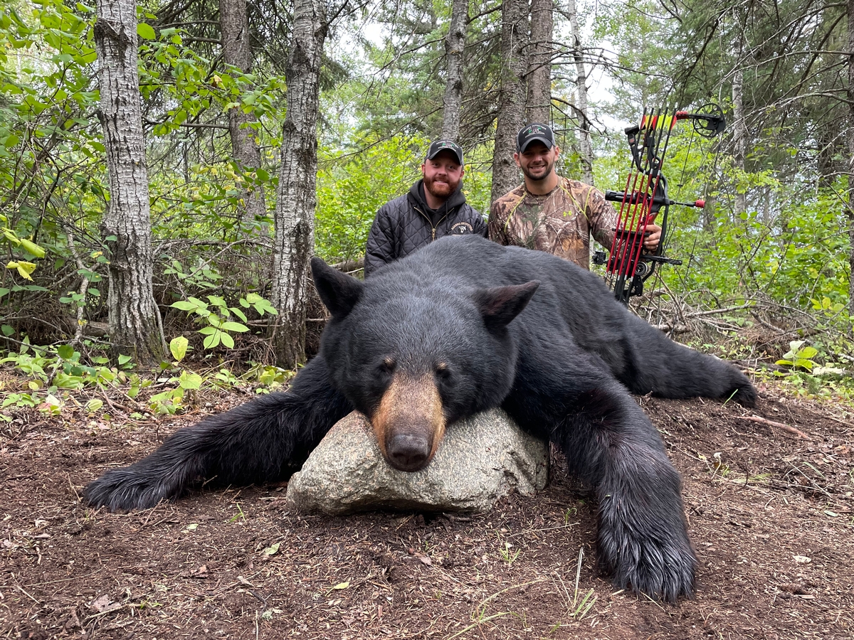 2021 Fall Black Bear Hunting Review