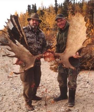 Agassiz Record Bull Moose