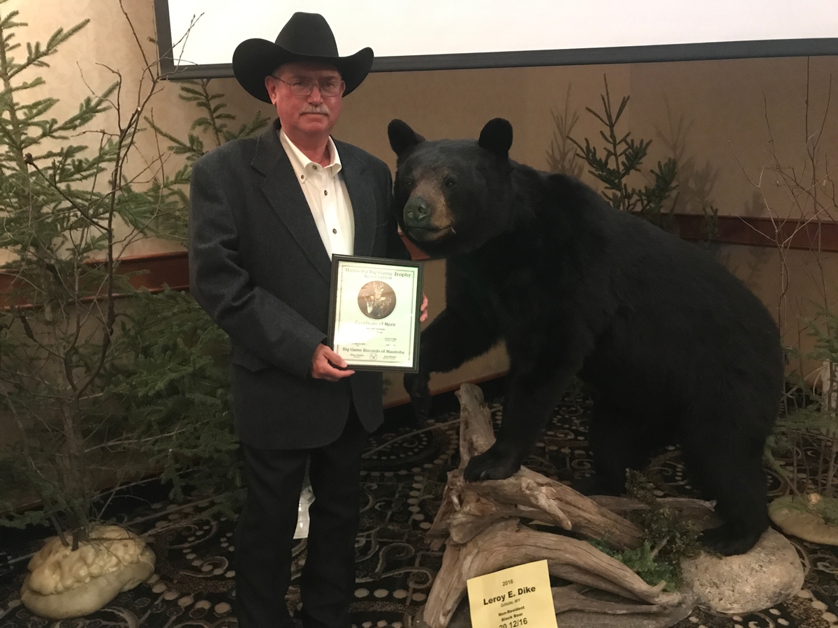 Guided Spring Black Bear Hunts Manitoba