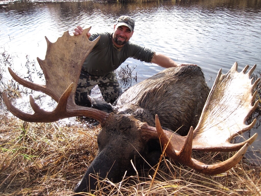 Moose Hunting Packages