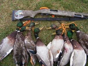 2010_waterfowl_hunting_20110125_1280242877.jpg