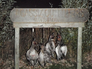 2010_waterfowl_hunting_20110125_1354047112.jpg