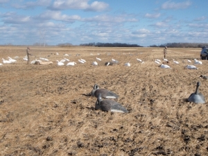 2010_waterfowl_hunting_20110125_1591855001.jpg