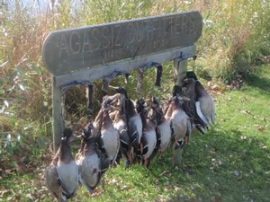 2010_waterfowl_hunting_20110125_1681169925.jpg