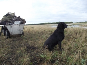 2010_waterfowl_hunting_20110125_1777549265.jpg