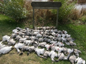 2010_waterfowl_hunting_20110126_1809808265.jpg