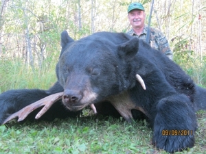 2011_bear_hunting_pictures_20111204_20632856321.jpg