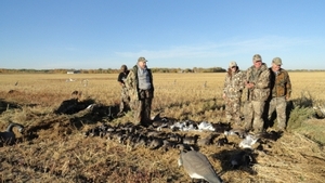 2011_waterfowl_pictures_20111205_1055198068.jpg