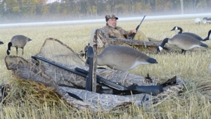 2011_waterfowl_pictures_20111205_1252733628.jpg