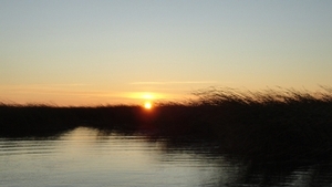 2011_waterfowl_pictures_20111205_1256434697.jpg