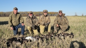 2011_waterfowl_pictures_20111205_1567842924.jpg