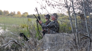 2011_waterfowl_pictures_20111205_1798896247.jpg