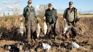 2011_waterfowl_pictures_20111205_1817880609.jpg