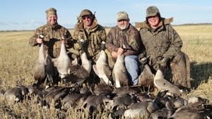 2011_waterfowl_pictures_20111205_1906494151.jpg