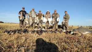 2011_waterfowl_pictures_20111205_1947718668.jpg